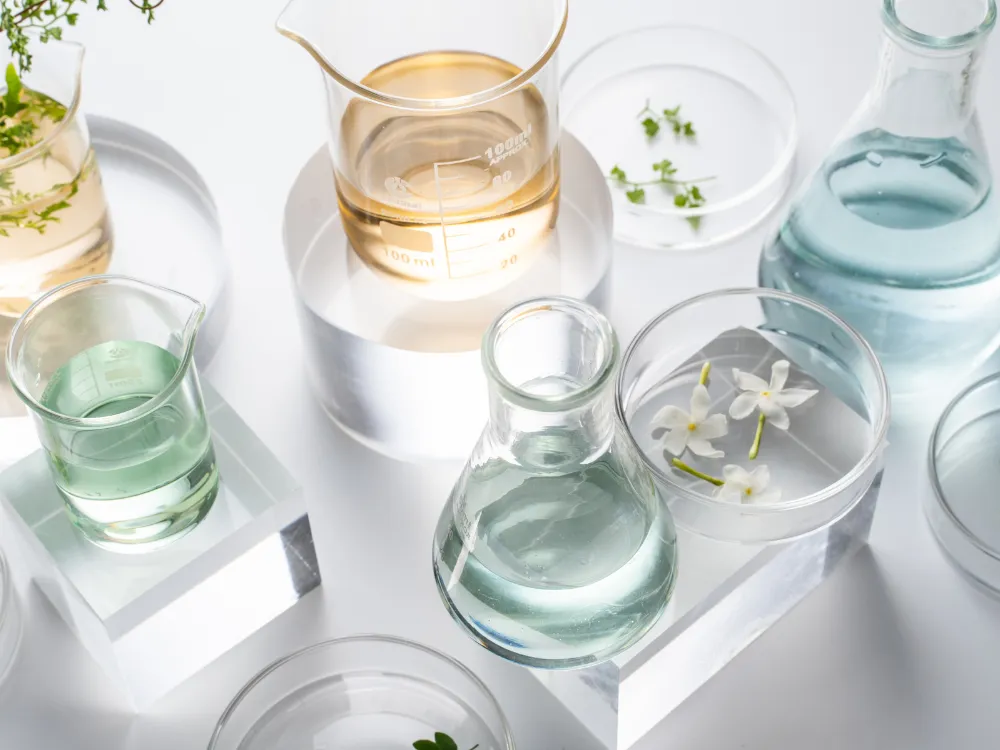 Beakers and plants